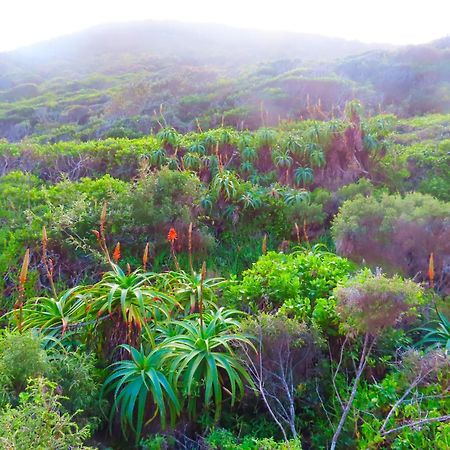 The Stargazing Cube - Misty Mountain Reserve Stormsrivier Bagian luar foto